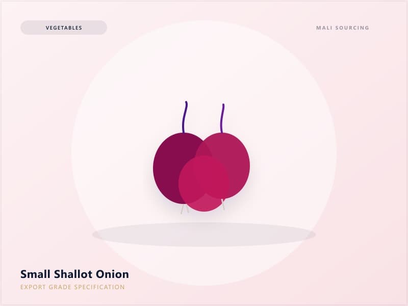 Small Onion - Mali International export product